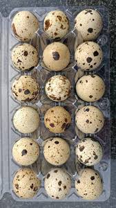 Quail Eggs